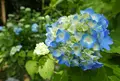 ２１世紀の森公園の写真_247746