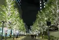 名駅４丁目９−８の写真_282335