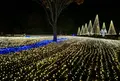 国営木曽三川公園・木曽三川公園センターの写真_286614