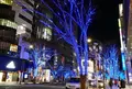 大津通の写真_286674