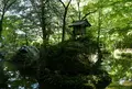 聖宝寺の写真_317578