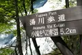 湯滝の写真_328202