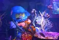 シーライフ ナゴヤの写真_442427
