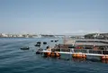 城ヶ島渡船の写真_452461