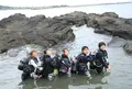 三浦 海の学校の写真_724802