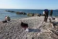 たてやま・海辺の鑑定団｜シュノーケリング・自然体験の写真_832342