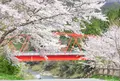 平屋大橋の写真_885464