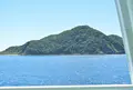 大島の写真_969641
