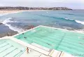 Bondi Icebergs POOLの写真_978630