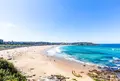 Bondi Beach（ボンダイビーチ）の写真_986263
