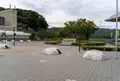徳島県文化の森総合公園の写真_990104