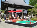 宗休寺（関善光寺）の写真_29335