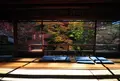 瑠璃光院の写真_86042