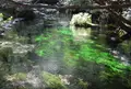 上高地の写真_16364