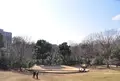 都筑中央公園の写真_23771