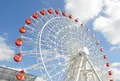 モザイクモール港北の写真_23776