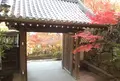 八幡山ロープウェーの写真_27687