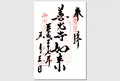 甲斐善光寺の写真_29945