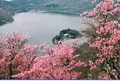 大沼の写真_31023