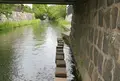 八幡川緑地の写真_42104