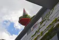 兵庫県立美術館　芸術の館の写真_49479