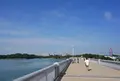 多摩湖の写真_62446