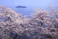 海津の町並みの写真_64522