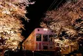 宇多野駅の写真_66145