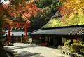 愛宕念仏寺の写真_66384
