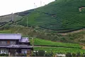 和束町役場の写真_73856