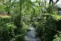 小平市の写真_74474