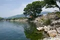 海津大崎の写真_74496