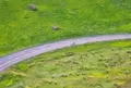 由布岳南山麓自然パークの写真_1071731
