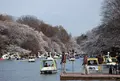 井の頭恩賜公園の写真_130769