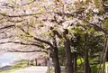聖路加ガーデンの写真_132575