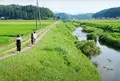 石沢川の写真_1497085