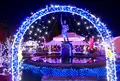 大垣公園の写真_158126