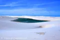 Parque Nacional dos Lençóis Maranhensesの写真_162051