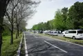 秋ケ瀬公園の写真_167426