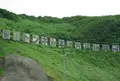 道の駅 みんまや「龍飛岬」の写真_169778