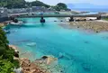 柏島の写真_175475