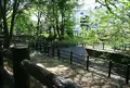 小平市の写真_176298