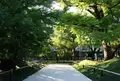 浄真寺の写真_209444