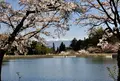 駒ヶ根高原一帯の写真_233023