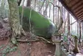 石野宮神社の写真_251963