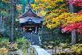 光前寺の写真_278358