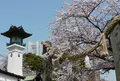 伊勢山皇大神宮の写真_307732