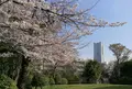 横浜市野毛山公園の写真_307733