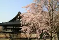 安倍文殊院の写真_308927