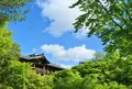 東福寺の写真_312495